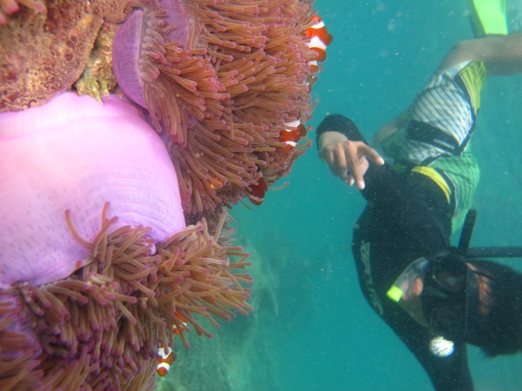 Ombak Dive Resort Perhentian Island Pulau Perhentian Kecil エクステリア 写真